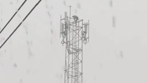 หนุ่มขโมยทองแดง M6 ปีนเสาสื่อสารหนีผิด เจออากาศร้อน-ฝนถล่ม 5 ชม. ยังไม่ยอมลง