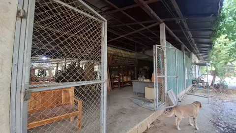 กำแพงเพชร เร่งสอบปม "ส่วยช่วยค่าน้ำมันรถนาย" เผยคืนเงินแล้ว