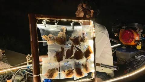 ฮือฮา "ช้างหมึกน้ำ" พลิกเรือหาปลาเป็นร้านหมึกบดแสงสี ล่องกลางเจ้าพระยา