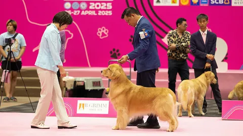 Princess Honour Cup 2026