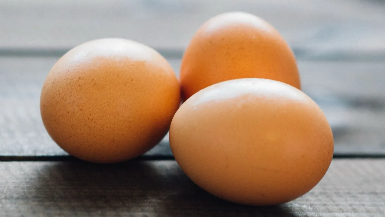 วอนเห็นใจผู้เลี้ยงไก่ไข่ ขายโปรตีนถูกกว่าบะหมี่ฯ ย้ำบทบาท "Egg Board"