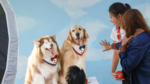 "Sansiri BIGNIC" ปรากฏการณ์ปิกนิกระดับโลก เนรมิตกรุงเทพกรีฑาเป็น 'Living Room' สุดอบอุ่น