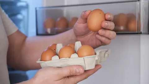 กินไข่ได้วันละกี่ฟอง ส่องประโยชน์และปริมาณที่เหมาะสมต่อวัย กินอย่างไรไม่ให้คอเลสเตอรอลพุ่ง