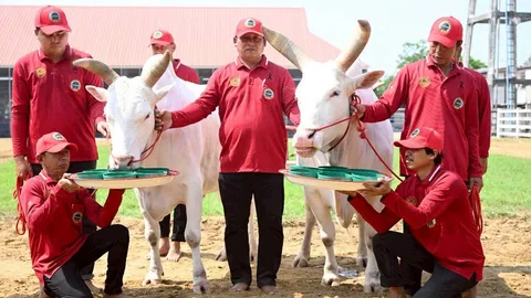 ปลัดเกษตรฯ ตรวจเยี่ยมการจัดเตรียม "พระโค" พระราชพิธีพืชมงคลฯ ประจำปี 2569
