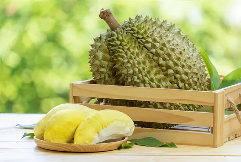 เปิดเส้นทางเดินเรือใหม่ "แหลมฉบัง-เหยียนเถียน" ส่งทุเรียนไทยไปจีน เร็วขึ้น ลดต้นทุนปี 2569 