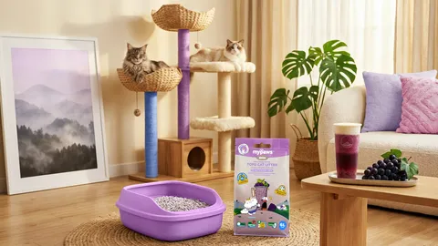 ชาแก้วโปรด สู่กระบะสุดหอมของน้องเหมียว My Paws x JIANCHA ปฏิวัติวงการ "ทรายแมวกลิ่นองุ่นครีมชีส"