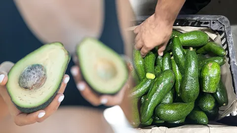 อะโวคาโด เถื่อนทะลักไทย ลักลอบนำเข้า เตือนผลร้ายสุขภาพ กินสดยิ่งเสี่ยง 