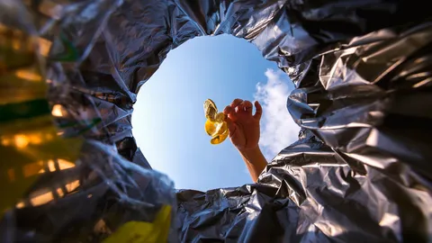 เริ่มวันนี้ "วิธีแยกขยะในครัวเรือน" ฉบับทำเองง่ายๆ เปลี่ยนขยะให้เป็นเงินและบุญ