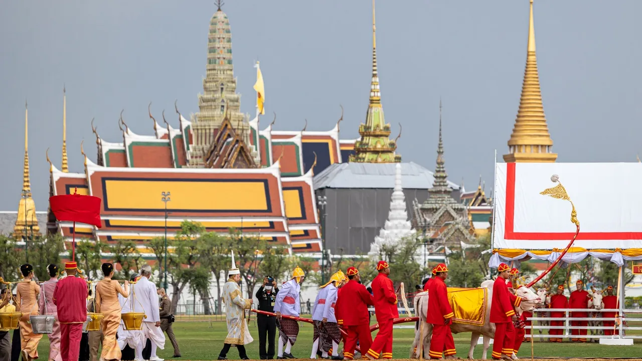 กระทรวงเกษตรฯ เปิดลงทะเบียนรับ "เมล็ดพันธุ์ข้าวพระราชทาน" วันพืชมงคล 2569
