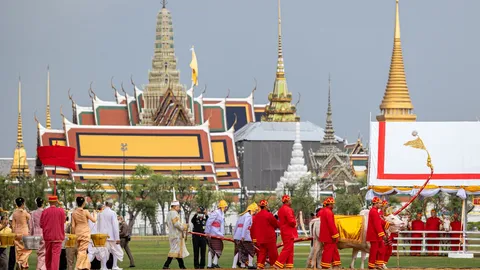 กระทรวงเกษตรฯ เปิดลงทะเบียนรับ "เมล็ดพันธุ์ข้าวพระราชทาน" วันพืชมงคล 2569