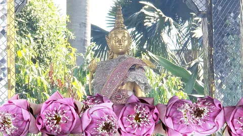 พระแม่ลักษมี เซ็นทรัลลาดพร้าว ฉบับอัปเดต 2026 ทริคลับขอพร "ข้อเดียว"