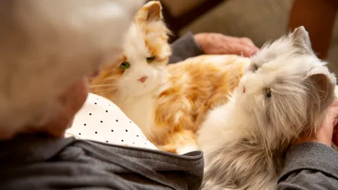 ส่องเทรนด์มาแรง “หุ่นยนต์สัตว์เลี้ยง” เพื่อนซี้ไฮเทคฮีลใจ ดันตลาดโลกพุ่งทะลุพันล้าน