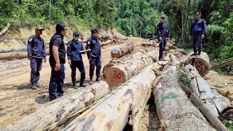 ทส.โร่จับฮุบป่า “เขาปากเตรียม”  บช.ก.ตั้งทีมลุย