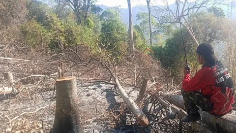 เร่งดับไฟป่า แก่งกระจาน หวั่นกระทบพื้นที่มรดกโลก เก็บหลักฐานเร่งหามือเผา