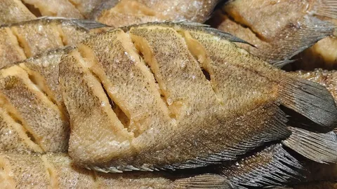 "ปลาสลิดบ้านแพ้ว" สมุทรสาคร ขึ้นทะเบียน GI รายใหม่ ชูจุดเด่นเนื้อแน่นไร้กลิ่นโคลน