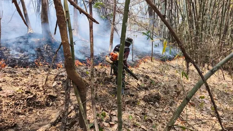 คุมไฟป่า “อุทยานแห่งชาติศรีลานนา” สำเร็จ รัฐบาลประชาชนร่วมมือ “งดเผาทุกกรณี”