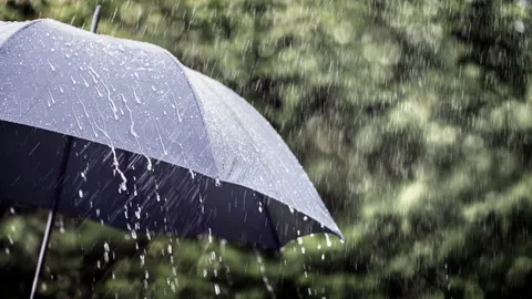 เช็กจังหวัดเสี่ยง เจอผลกระทบ "พายุฤดูร้อน" มีฝนฟ้าคะนอง ลมแรง ลูกเห็บตกบางแห่ง