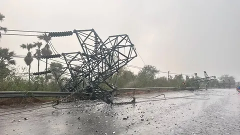 "พายุฤดูร้อน" ถล่มปราจีนบุรี ฝนตกหนักทำ "เสาไฟฟ้าแรงสูง" หัก 8 ต้น ล้มขวามถนน