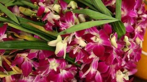 วิธีเลือกดอกไม้ไหว้พระเสริมดวงการเงิน พร้อมทริคบูชาให้เห็นผลทันต้องลอง!