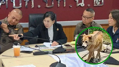 "ปวีณา" ตามคดี หมากัดเด็ก คู่กรณีปฏิเสธ ไม่ใช่เจ้าของ