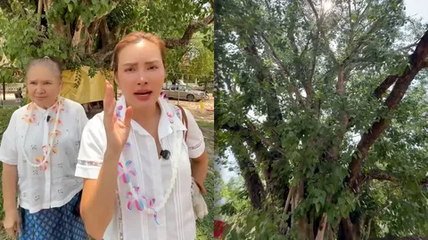 หญิง รฐา-แม่น้อย เปิดภาพต้นโพธิ์ สัญลักษณ์ของตระกูล “โพธิ์งาม” ที่สวยสมชื่อ