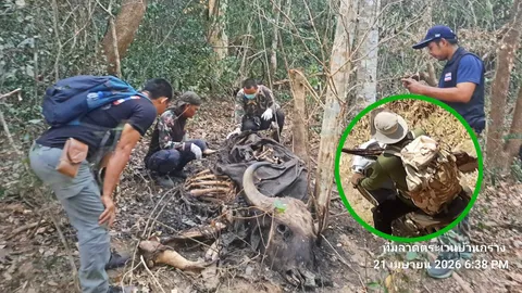 เผาป่าไล่ฆ่ากระทิง ล่าพรานโหด อุทยานแห่งชาติ แก่งกระจาน