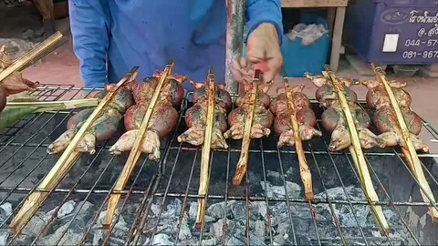 ตามรอยของอร่อยอีสานใต้ พาชิม “อังแกบบอบ” เมนูกบยัดไส้ย่างสมุนไพรแห่งเมืองสุรินทร์