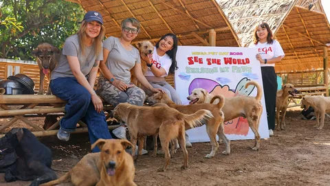 เมกาบางนา ส่งมอบบ้านพักพิงสำหรับสัตว์จร สร้างความแข็งแกร่งของคอมมูนิตี้คนรักสัตว์เลี้ยง