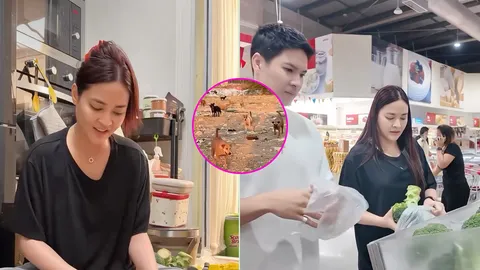 นางเอกนอกจอ! ปุ๊กลุก - ไมค์ ลงพื้นที่ทำอาหารเลี้ยงหมาจร พร้อมส่งต่อพลังบุญช่วยคุณป้า