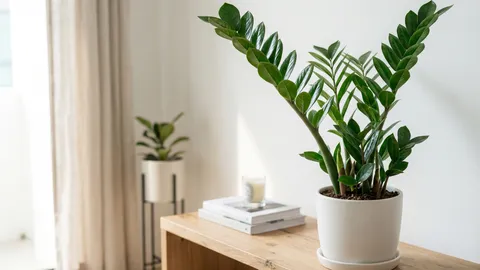 เปิดข้อห้ามเลี้ยงกวักมรกต ชอบไม่ชอบอะไร เปิดเคล็ดลับนับใบ 19-21 ใบรับโชคใหญ่