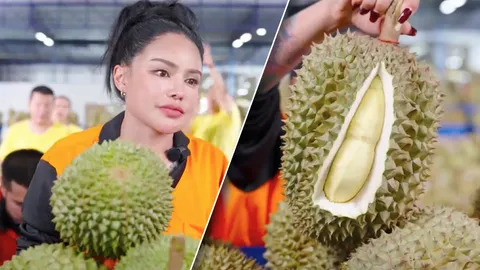 "พิมรี่พาย" ไลฟ์สดขายทุเรียน น้ำตาคลอแจงดราม่า รับเจอปัญหา-ขาดทุนกว่า 10 ล้าน