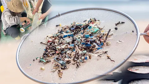 เปิดผลวิจัยพบ “ไมโครพลาสติก” ในร่างกายคนไทยกว่า 80% ปนเปื้อนน้ำดื่ม-อาหารทะเล