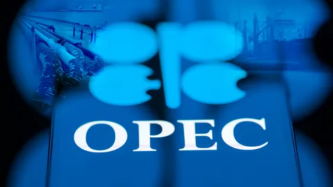 UAE ถอนตัว OPEC นับถอยหลังกลุ่มแตก? สะเทือนราคาน้ำมันโลก-กระทบไทยแค่ไหน  