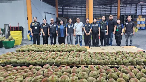 ตรวจพบทุเรียนอ่อน กว่า 500 ลูก ที่ล้งผลไม้ จ.จันทบุรี สั่งรื้อทำตำหนิห้ามส่งออก