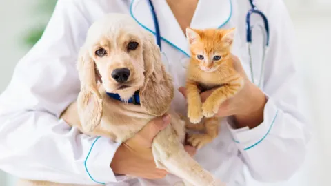 Pet Economy ไทยยุคใหม่ ยกระดับดูแลสัตว์เลี้ยงถึงระดับเซลล์ ลงทุนเพื่อชีวิตระยะยาว