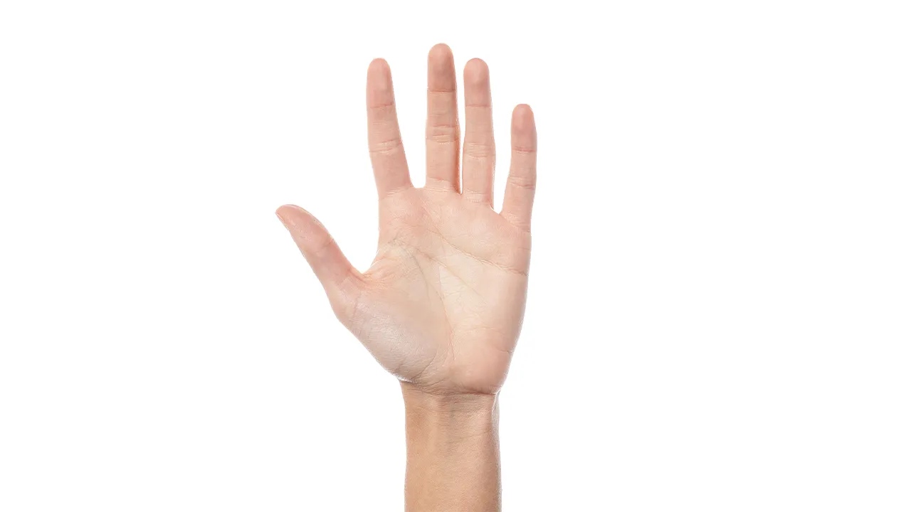 ดูลายมือคนรวย เช็ก 3 เส้นวาสนาพารับทรัพย์ คนจะรวยต้องมีเส้นไหน?