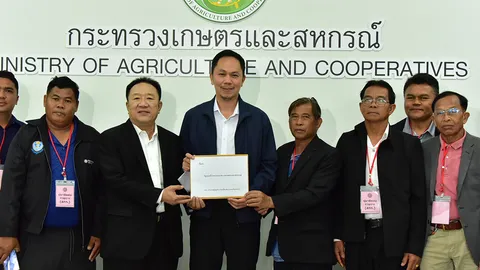ชาวไร่ค้านนำเข้าข้าวโพด GMO 1 ล้านตัน จี้กระทรวงเกษตรฯ ทบทวนราคาประกันสินค้าเกษตร