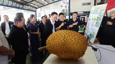 "ยศชนัน" ส่งเสริมการใช้นวัตกรรม ยกระดับอุตสาหกรรมผลไม้ส่งออก
