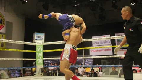 ศอกขวาปลิดวิญญาณ "หัสดี" ชนะ TKO "แสงพนม" ยก 3  ศึกมวยรอบปูนเสือ มวยไทยพันธุ์แท้ ครั้งที่ 25