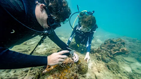 เปิดองค์กร "Coral Gardeners" ในเอเชียตะวันออกเฉียงใต้ "Rolex" ปักหมุดอ่าวไทยต้นแบบอนุรักษ์ปะการัง