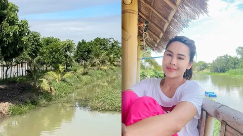 เปิดภาพบ้านสวน หนูเล็ก ก่อนบ่าย บรรยากาศร่มรื่นน่าอยู่ มีผลไม้หลายชนิด (คลิป)