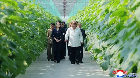 "คิม จองอึน" พาลูกสาวตรวจงานฟาร์มเรือนกระจกริมแม่น้ำ