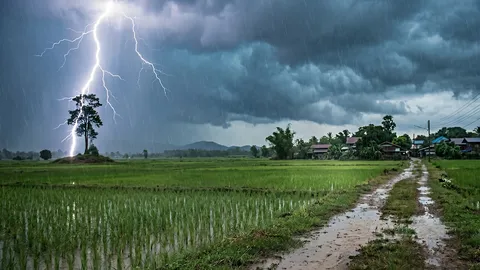 หลายคนยังไม่รู้ ฟ้าร้อง ห้ามทำอะไร ทำไมผู้ใหญ่ถึงชอบห้ามเล่นมือถือ?