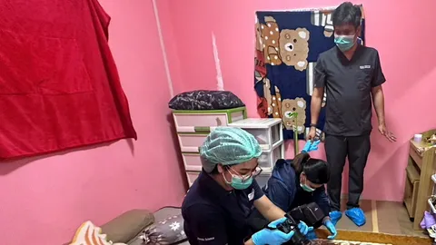 ฆ่า "สาวพม่า" ศพเปลือยอก หมกในห้องเช่า สงสัยคนใกล้ตัว