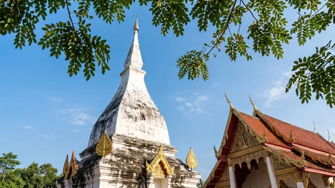 เจาะลึกความเชื่อ "ต้นผึ้ง" พระธาตุศรีสองรัก เคล็ดลับแก้บน-ขอพรที่สายมูต้องรู้