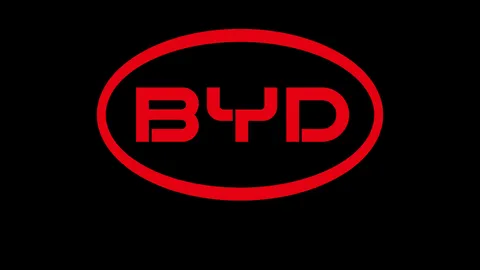 BYD แจงเหตุไฟไหม้ DOLPHIN ที่ขอนแก่น มาจากระบบไฟภายนอก ไม่ใช่ความผิดปกติของตัวรถ