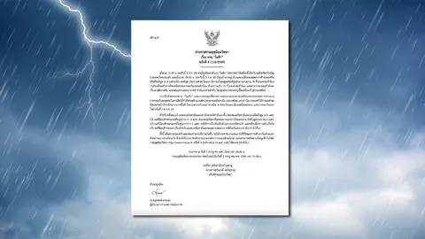 พายุไมสัก ขึ้นฝั่งประเทศเวียดนามแล้ว เตือนไทยฝนตกหนักบางพื้นที่ 5-6 ก.ค.นี้