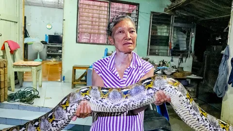 สะเทือนแผงหวย ส่องเลขเด็ด “พญางูเหลือม” บุกบ้านยายวัย 75 ปี เชื่อมาให้โชค