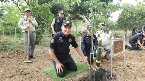 กรมป่าไม้ ปลูกป่าเฉลิมพระเกียรติ ร.10 พลิกฟื้นผืนป่าโครงการหลวงเลอตอ 1,050 ไร่