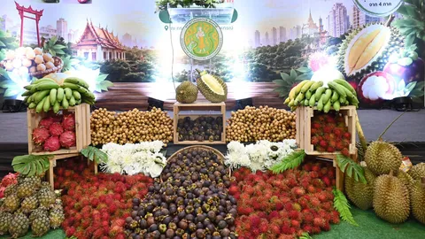 กระทรวงเกษตรฯ ยกทัพผลไม้ไทย 4 ภาค บุกลานคนเมือง 12-16 ก.ค. นี้